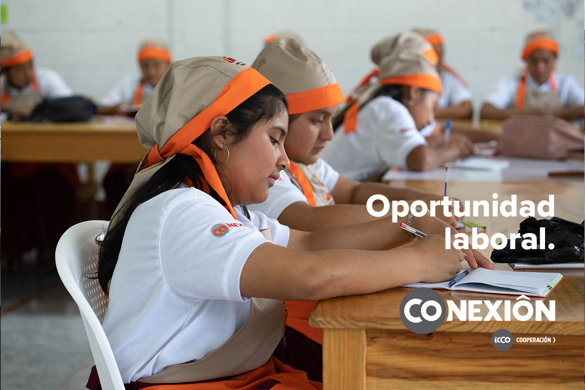 Consultoría “Gestor/a de Inserción Laboral”